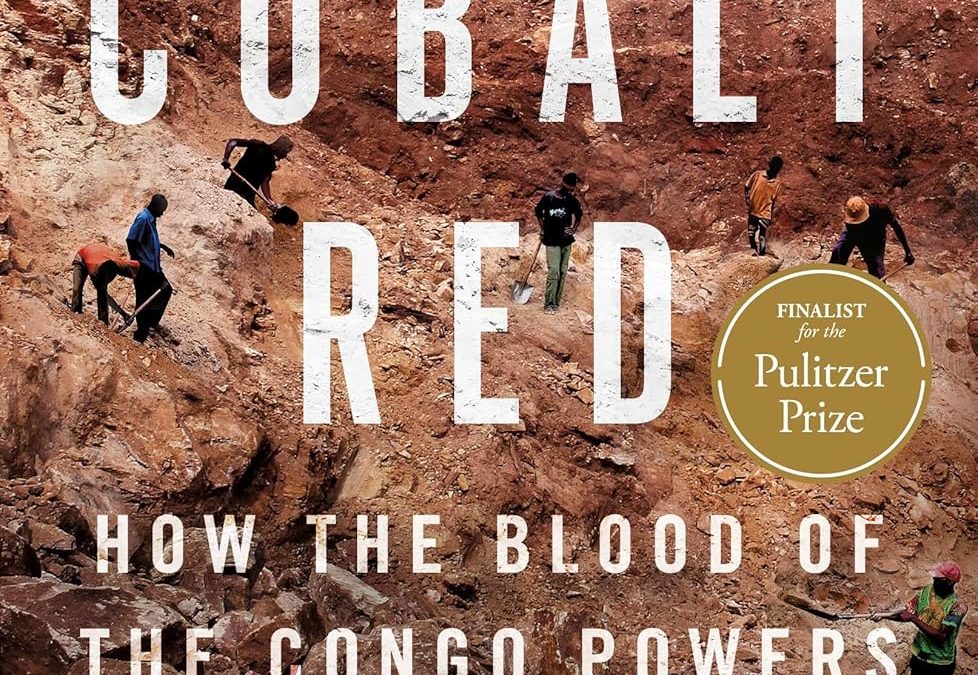 BOOK REVIEW: Cobalt Red by Siddharth Kara